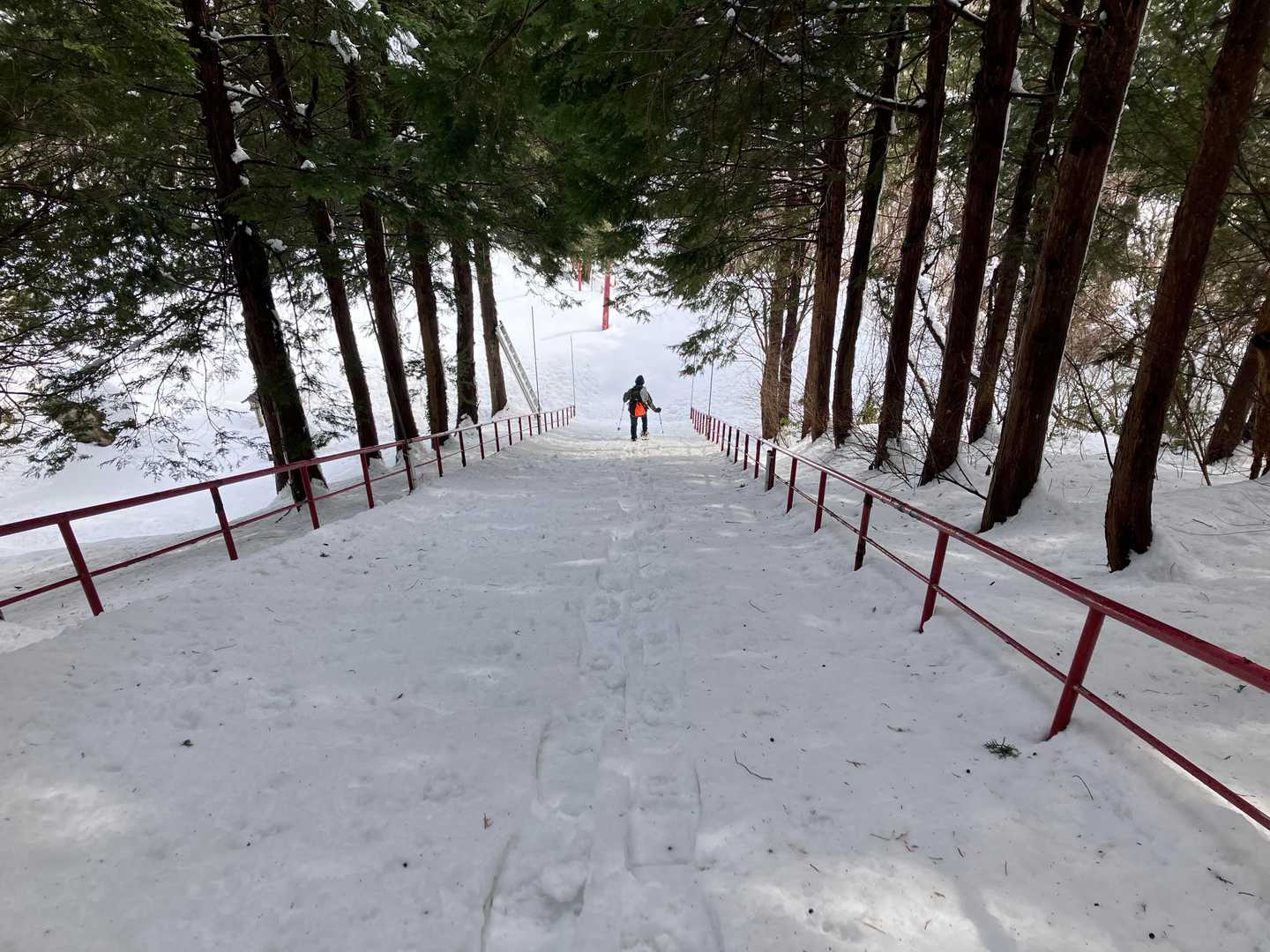 雪がいい具合だったのでモフモフしながら下りて行けた
無事に歩けてラッキー