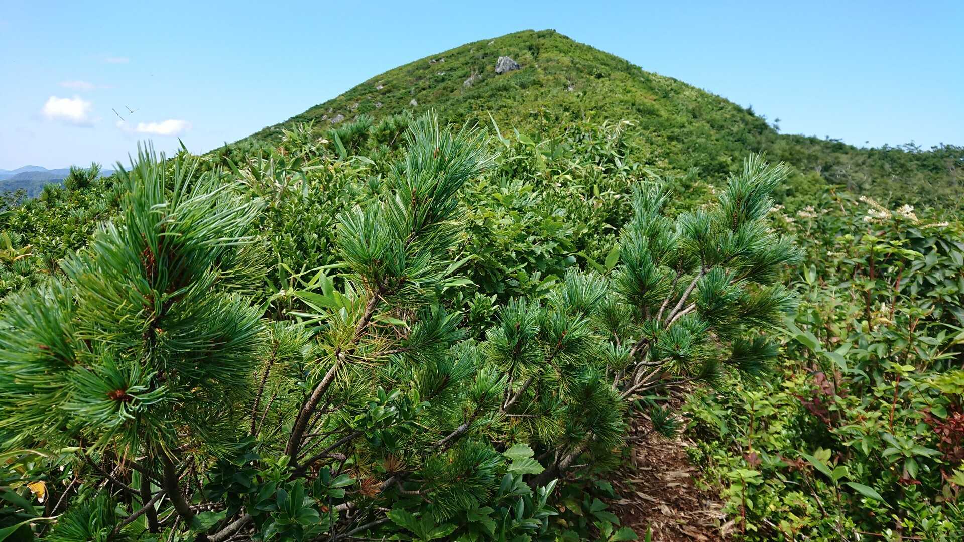 小岳（秋田県山本郡藤里町）の写真