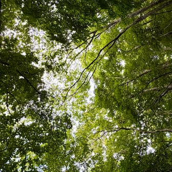 どこをみても癒される
気温はたぶん20℃ちょい？

