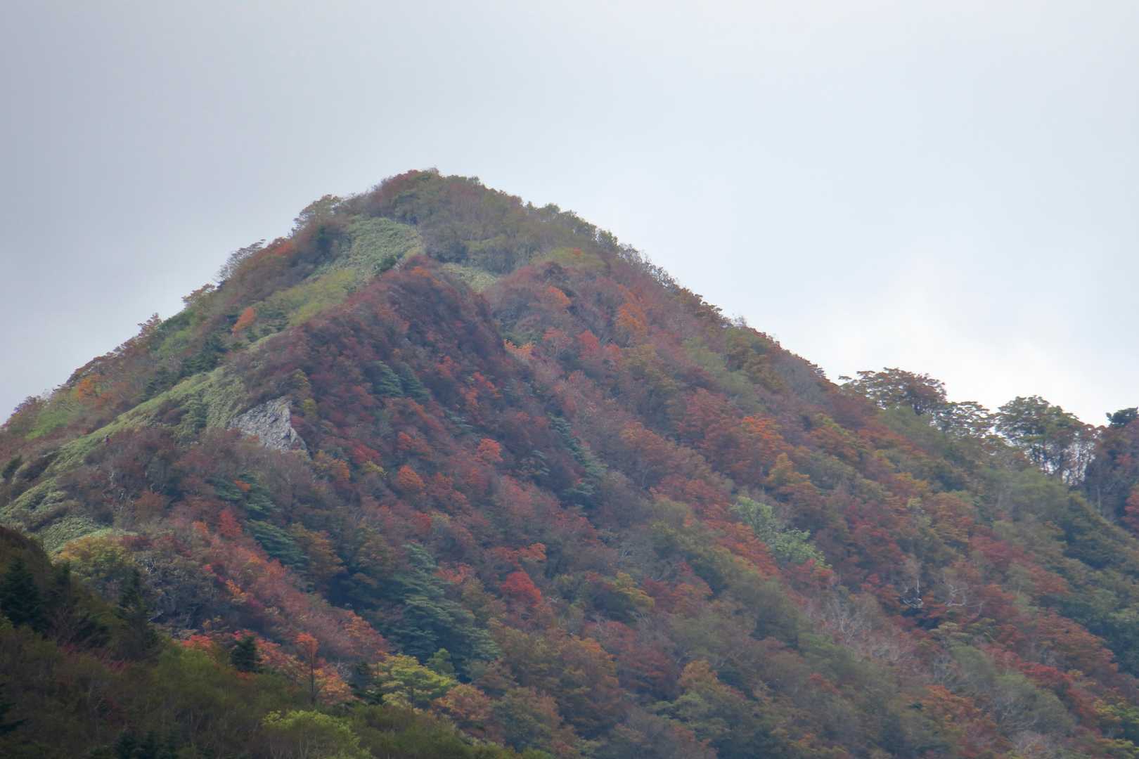 平家平 往復コースの写真