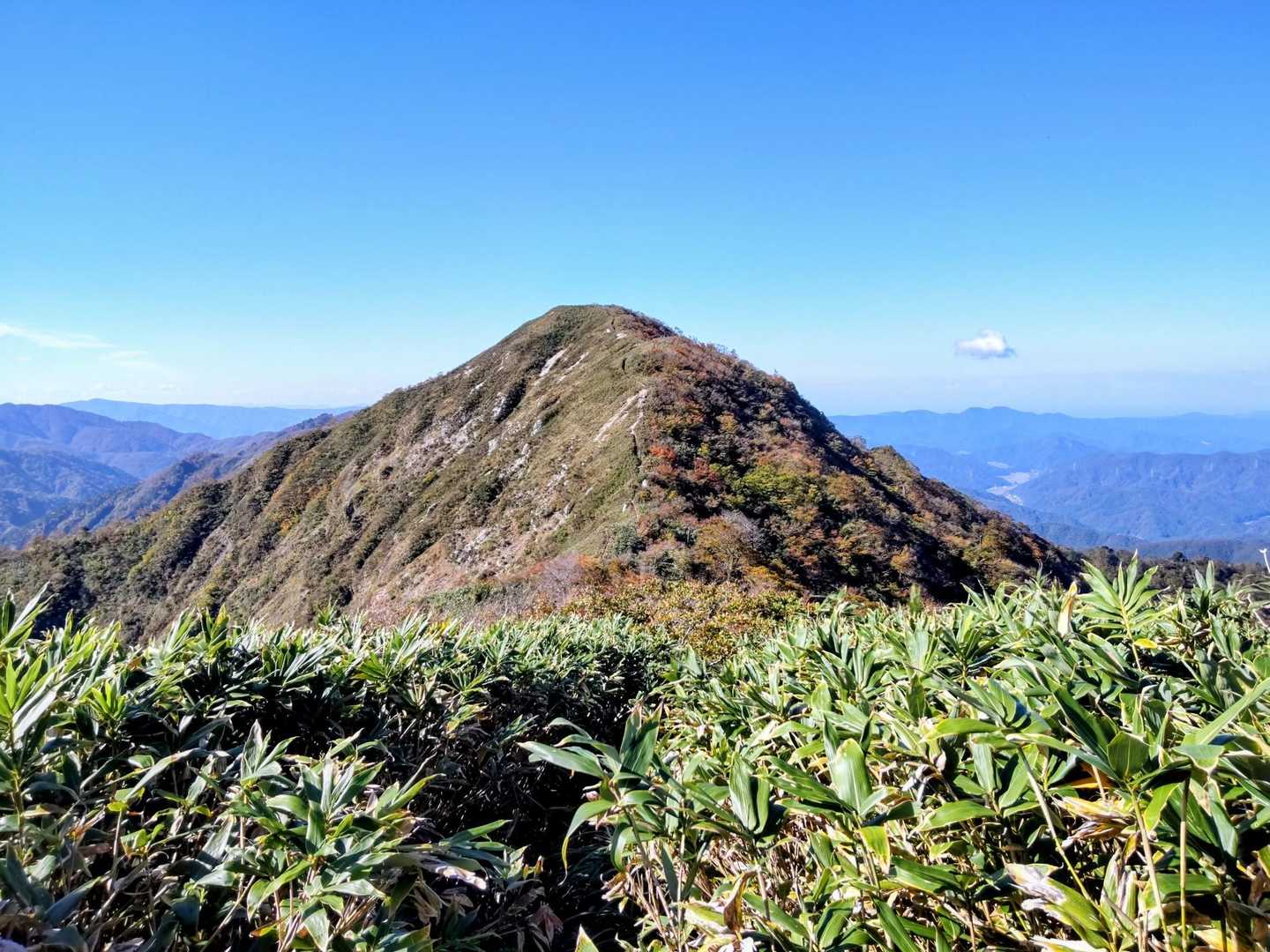 やっと金草岳が全容を現しました。