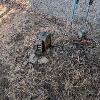 っというわけで山頂