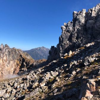 ポチと愉快な仲間たち