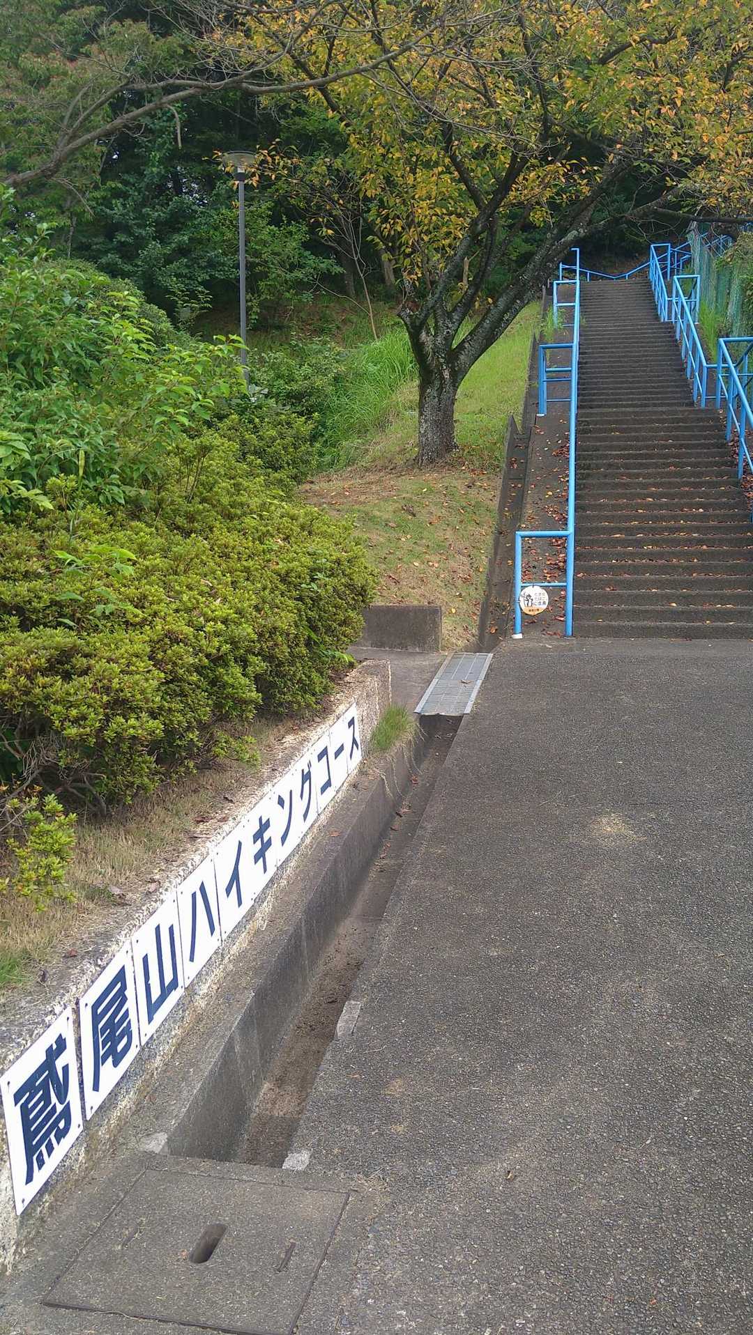 スタート！