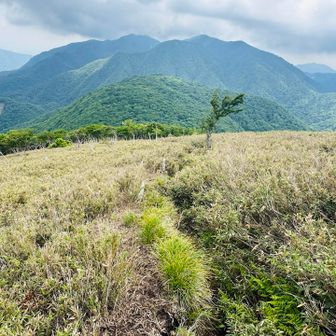 東雨乞岳山頂手前のこの辺りで腐敗臭
足が小さかったので生まれたての子鹿
死んでました　可哀想に
踏まないように気をつけて下さい