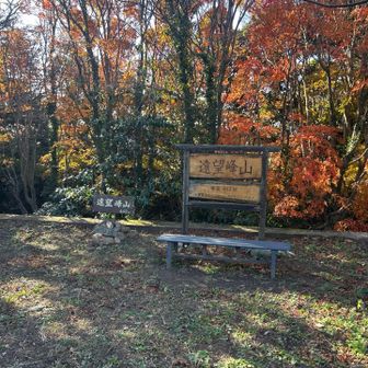 遠望峰山山頂　443m