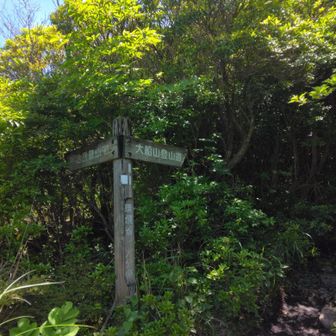 平治岳登山口標識は大戸越へのルート