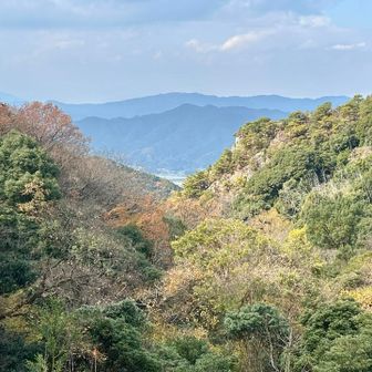 山庵寺から
今日は目を凝らしても
由布鶴見は見えず(｡･ω･｡)ﾑ-