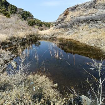 サンショウウオがいるようには見えない。