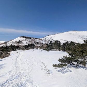 まっ白な雪原を進んでいきます❄️
このあたりって雪がないときは崩れた階段が続く悪路だけど積雪のおかげで歩きやすい😆