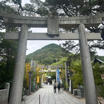 鳥居から覗く山⛰️
