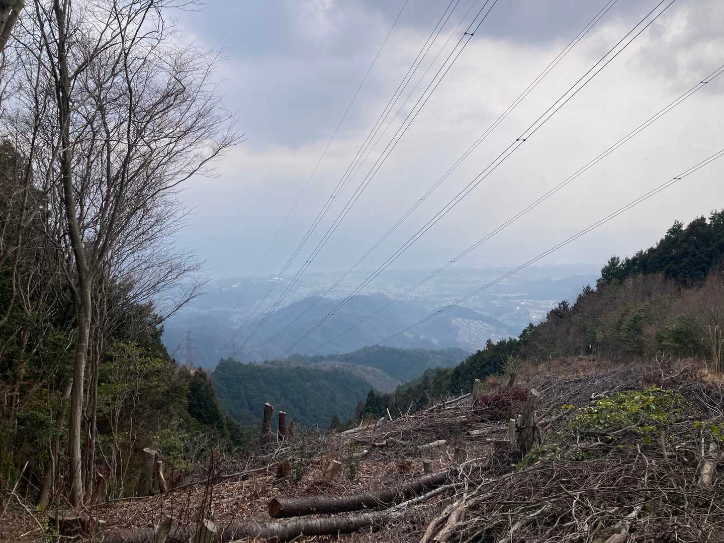 分岐に開けた景色あり