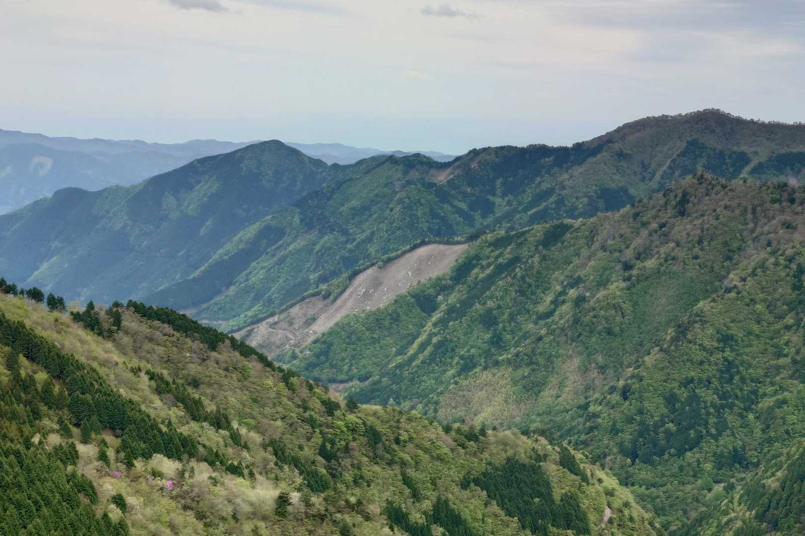 大星山辺りかな🗻？
