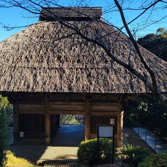 仁王門まで戻ってきた。往路では、しめ縄を飾り中で、撮影は遠慮させてもらったものの復路では撮って行こう📸

室町時代末期の1516年頃建てられた仁王門は国の重要文化財指定。維持するのが大変そうな茅葺屋根で寄棟造。