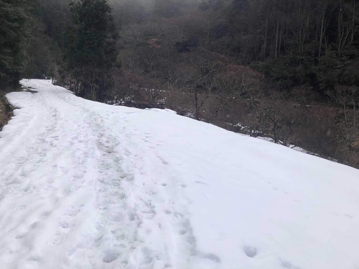 いきなりモフモフ❄️