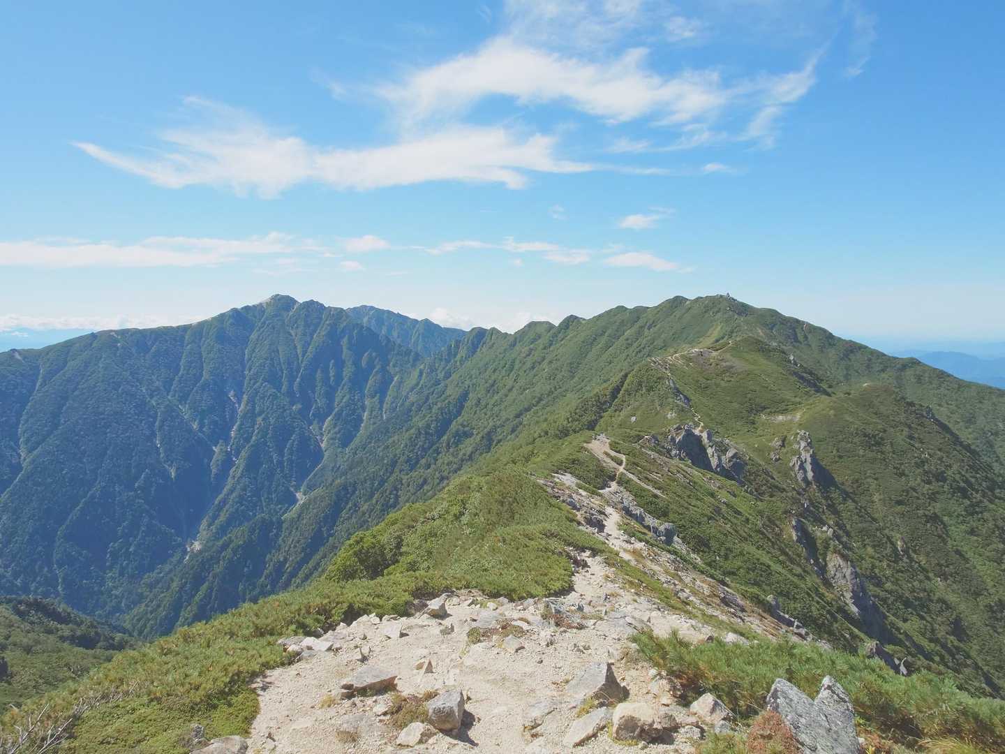 ☀陽が高くなり、暑くなって来た🥵