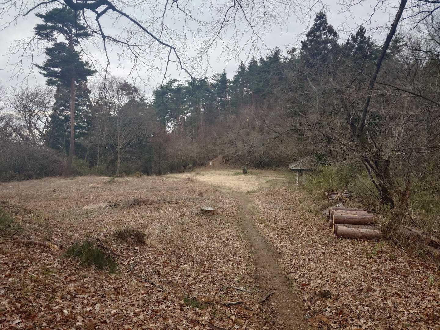 こかげ広場
西音森への路に看板が見える（ドキドキ）