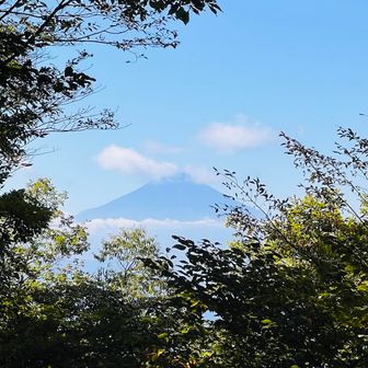 だって、富士山見えるし✨️