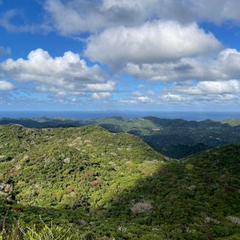 周回はまたいつの日か訪れる時の楽しみにして帰ります