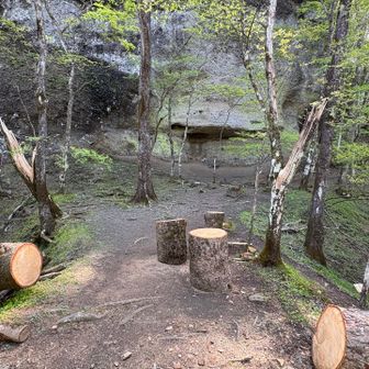 広場になっていて