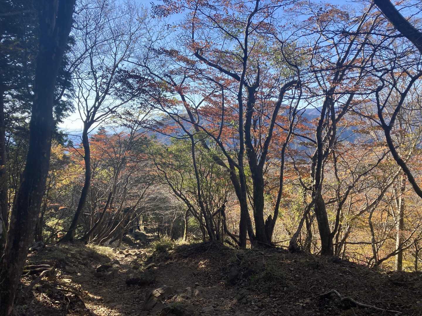 帰りのイタツミ尾根は人もいなくて所々景色もよくて幸せでした😊