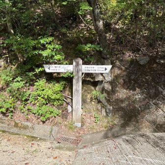 とりあえず、皆が歩いてる方へ行きましょう