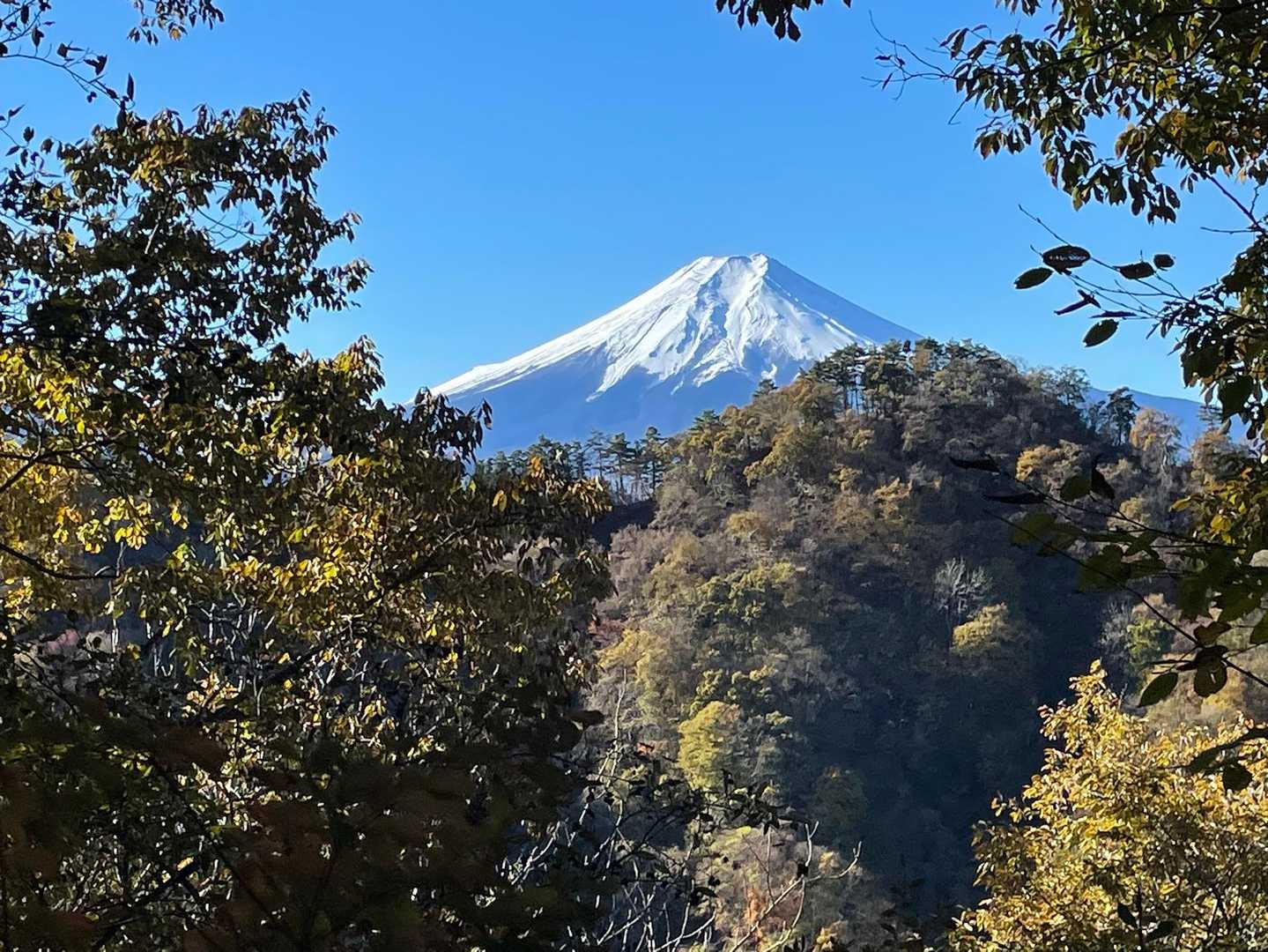 こーんなにクリアに富士山が見れたのは、夏以来で大興奮🥰