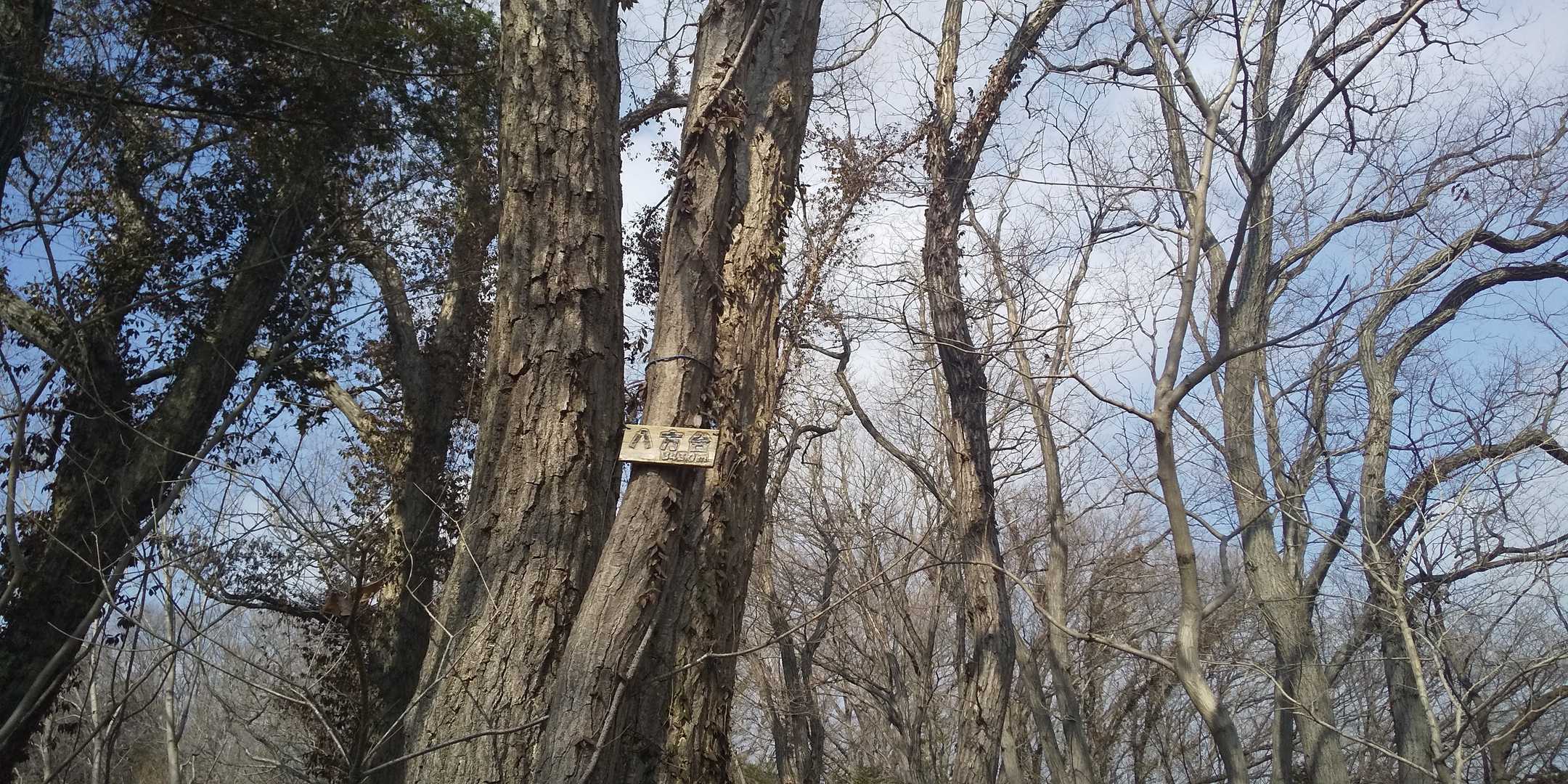 八方台