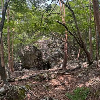 鬼滅に出てきそうな岩🪨