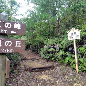 豊橋まできました