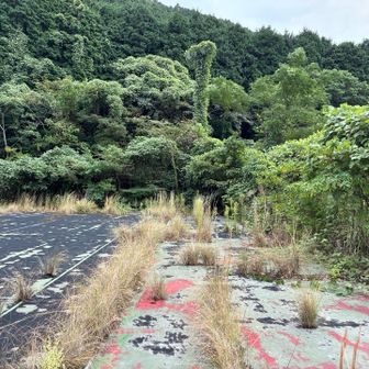タロぉ〜😭

スマホで連絡すればって思った🤭

タカがタロの持ってるもん笑笑