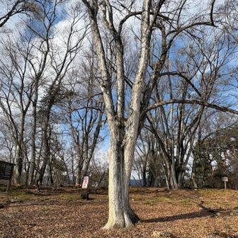 すぐに山頂
お久しぶり✨
