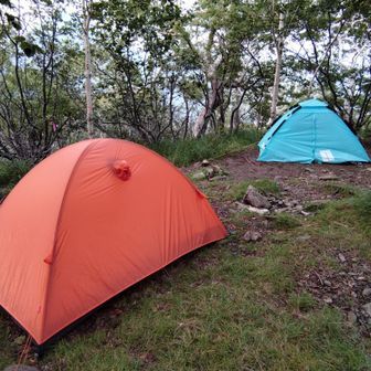 ふたりで岩場を慎重に下り1305へ🏕️
思い返せばチロロ・ニペソツ・幌尻に1967と、心細い時には必ず誰かが近くにいて助けてくれました✨️
その貯まったご恩をここでお返しできたかな🙌🏻？

むかし母とよく巡った尾瀬を思い出しながら山トークでワイワイ🥾
母より8歳お若いOさん「お母さんて呼んでいいよ〜笑」
その嬉しそうな顔を見て、こっちに決めて良かった！って心から思った。