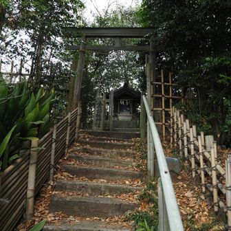 金毘羅神社
金毘羅山　山頂