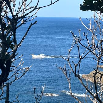 ポンポン船🛥️が見えました☺️