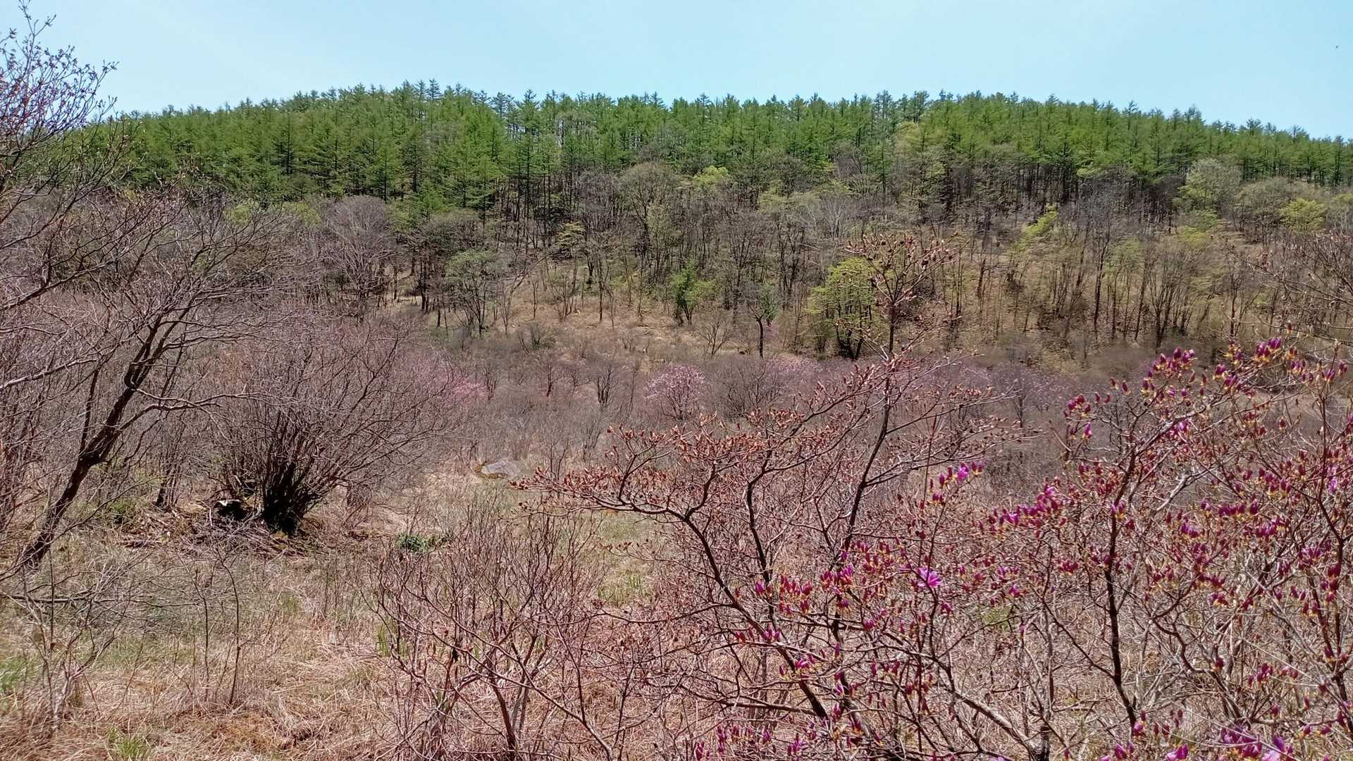 そして井戸湿原エリアでは