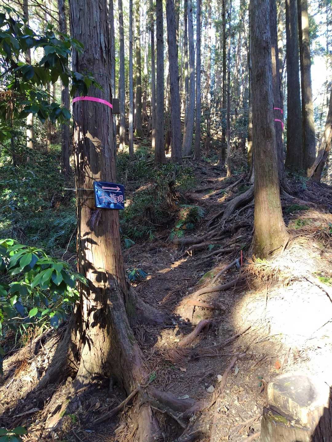 吾野駅-吉田山-子ノ山-奥の院-滝不動 周回コースの写真