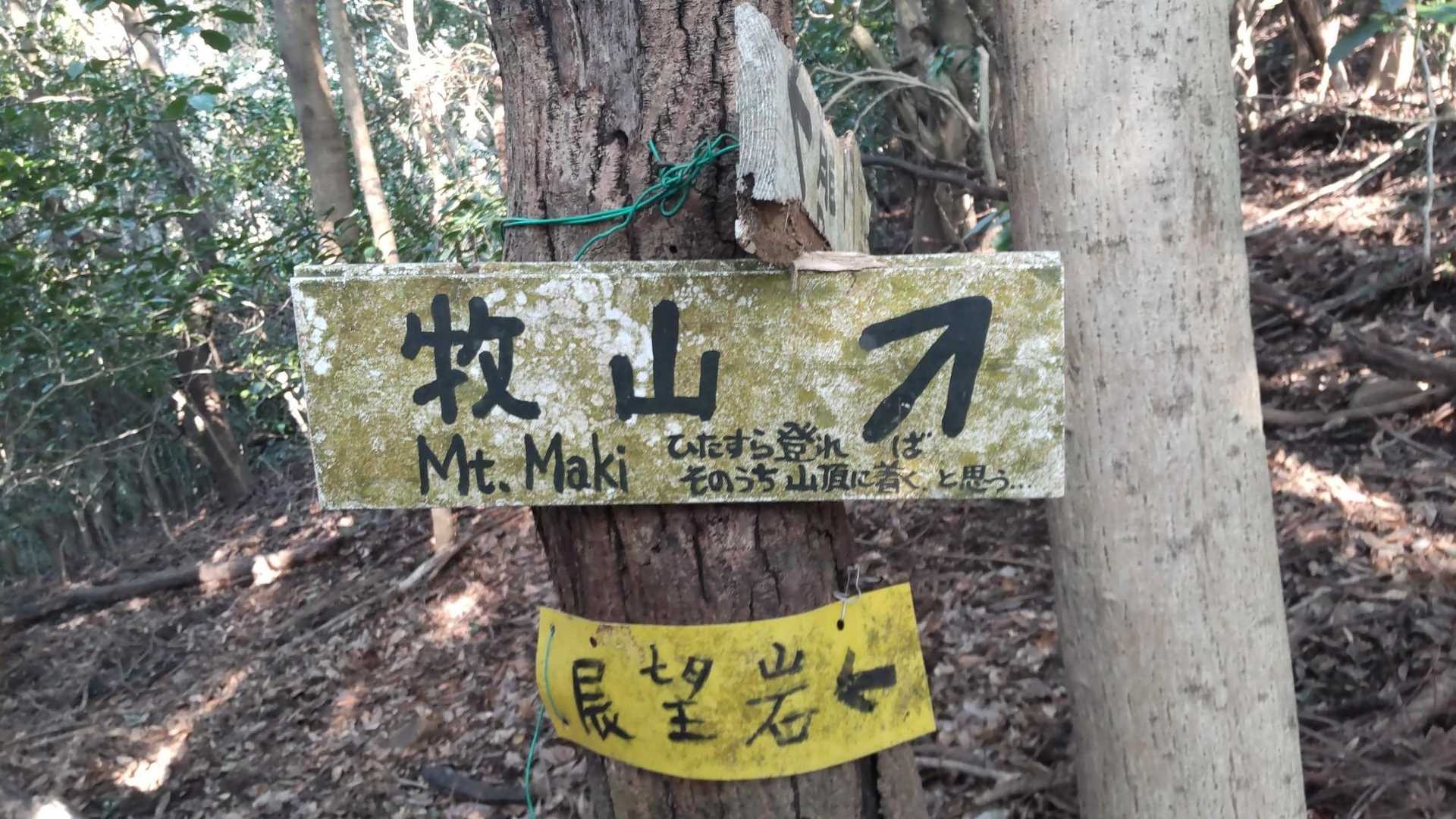 そのうち山頂……って😅💦💦
がむばりますっ‼️