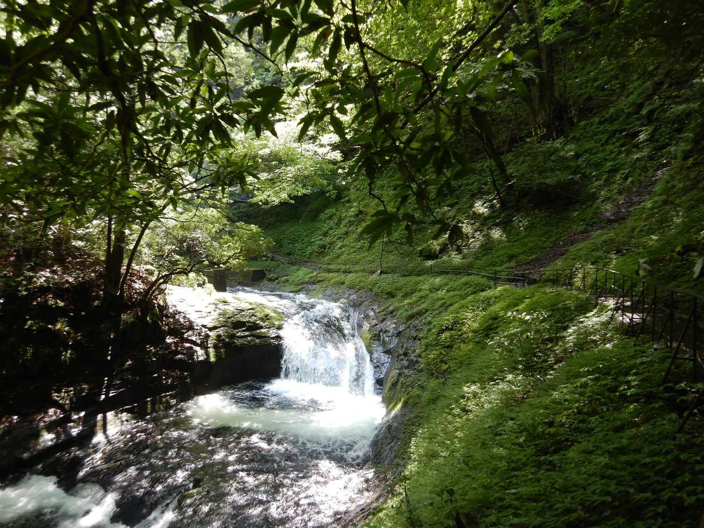 ずうっと水の音が聞こえています。