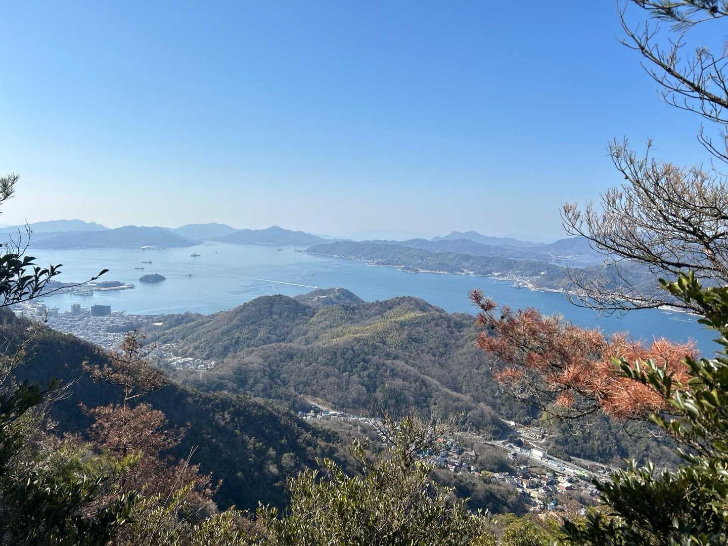 ナイスビュー