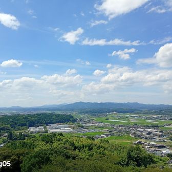 暑いけど木陰は気持ち良かった