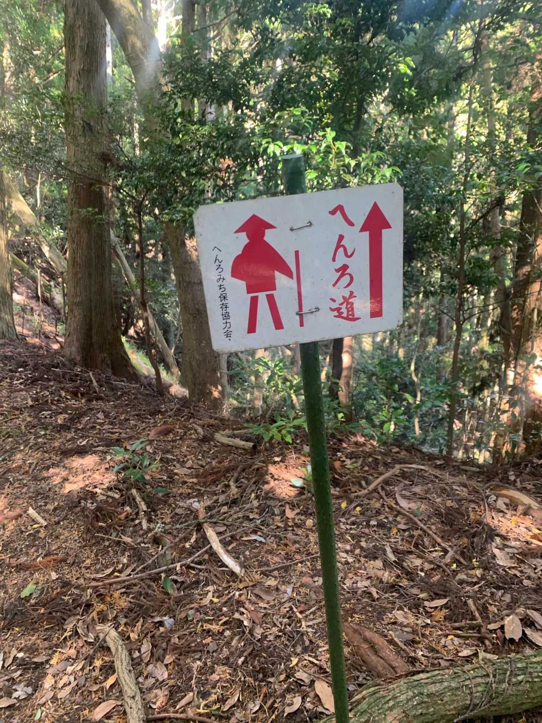 中山道登山口-太竜寺山 往復コースの写真