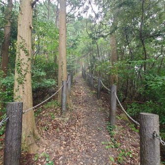 綺麗な登山道