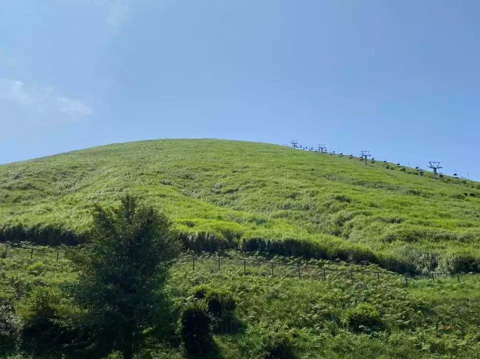 大室山の写真