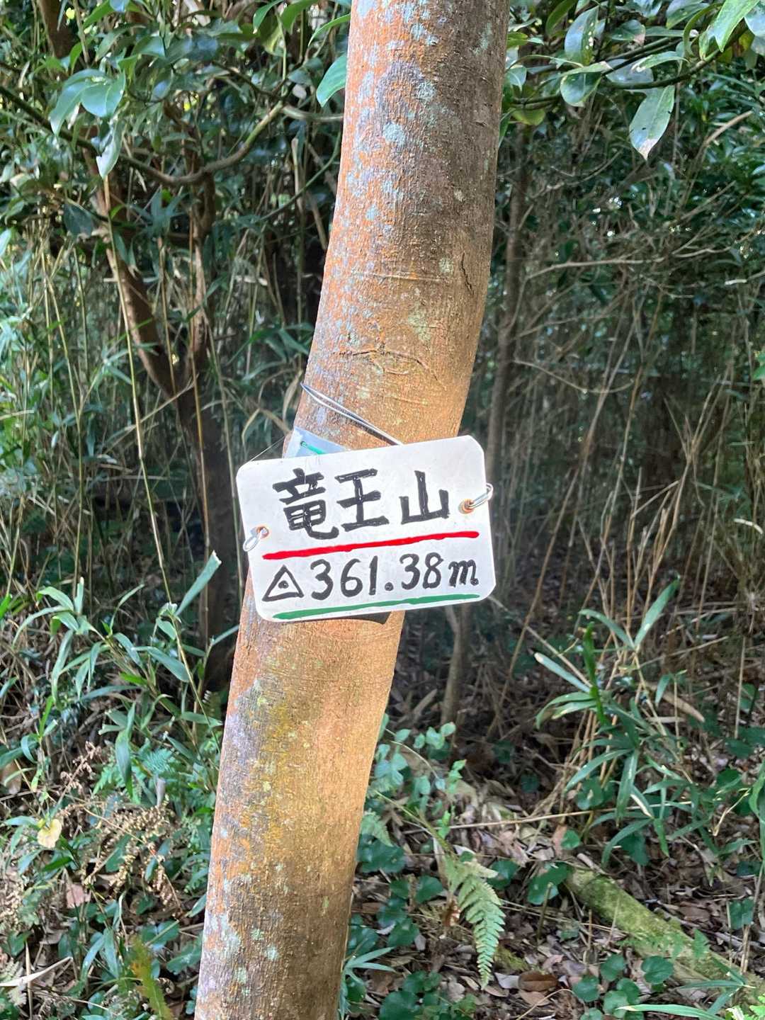 應感神社-竜王山 往復コースの写真