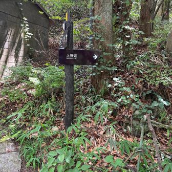 王子動物園駅を目指して下山開始
