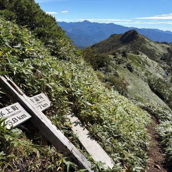 山頂直下の分岐。