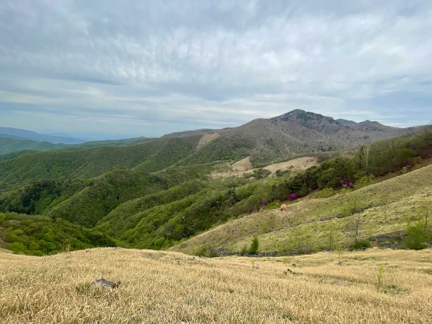 好きだわ〜、この感じ⛰️