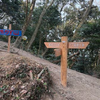 標識もわかりやすく新しい。