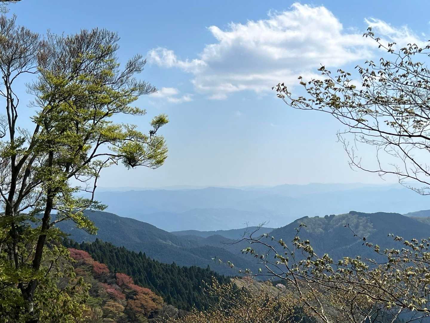 千早本道登山口-黒栂谷道-金剛山-千早本道 周回コースの写真